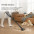 Моющий пылесос Dreame Wet & Dry Vacuum Cleaner H12 DUAL-15-изображение