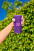 Портативная акустика JBL Grip Purple (JBLGRIPPUR)-5-изображение