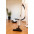 Пылесос Gorenje VC 2221 G4EW (VC2221G4EW)-9 Пылесос Gorenje VC 2221 G4EW (VC2221G4EW)-9-изображение