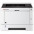Лазерный принтер Kyocera P2040DN (1102RX3NL0)-1-изображение