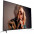 Телевизор Vinga S75UHD20G-2-изображение
