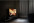 LED-телевізор LG 75NANO996NA-8-зображення