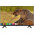 Телевизор Bravis LED-32H7000 Smart + T2-0-изображение